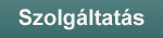 Szolgáltatás
